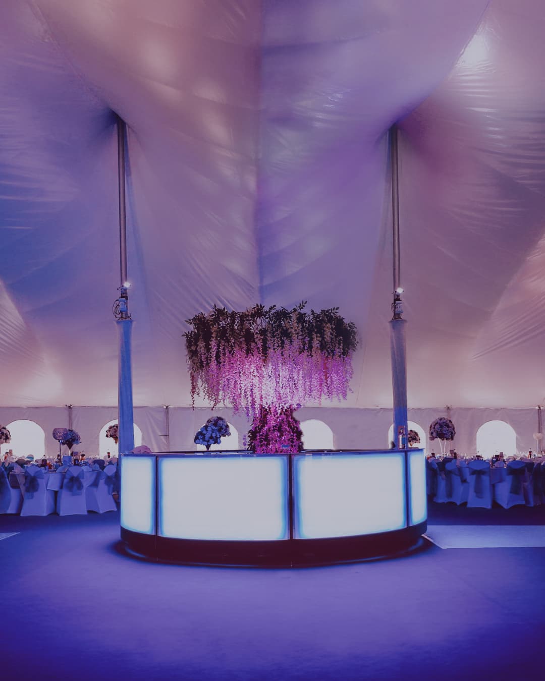 An evening celebration in the marquee, with a lit bar beneath hanging blossom